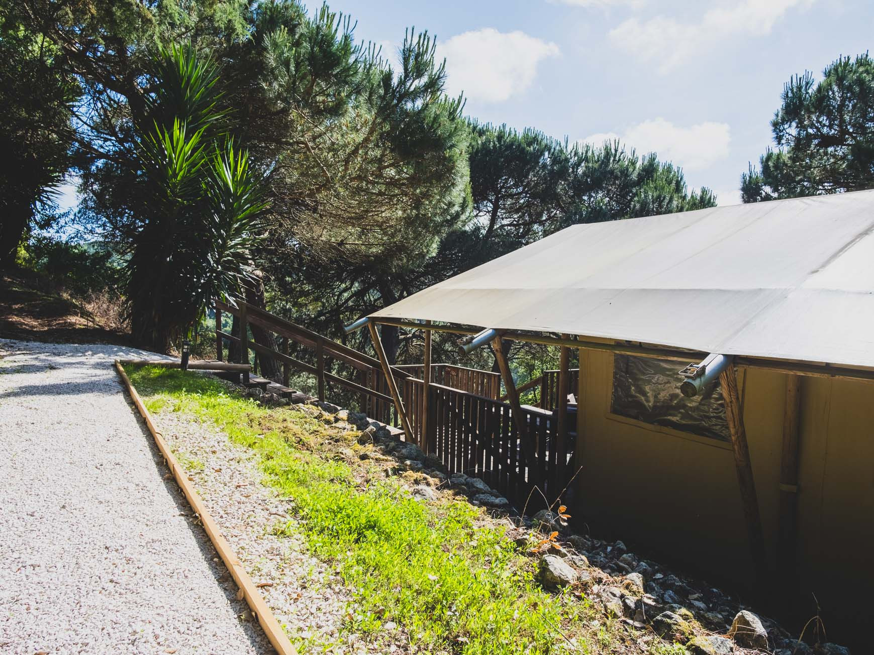 Path beside a wooden decked glamping tent surrounded by trees and greenery under blue sky.