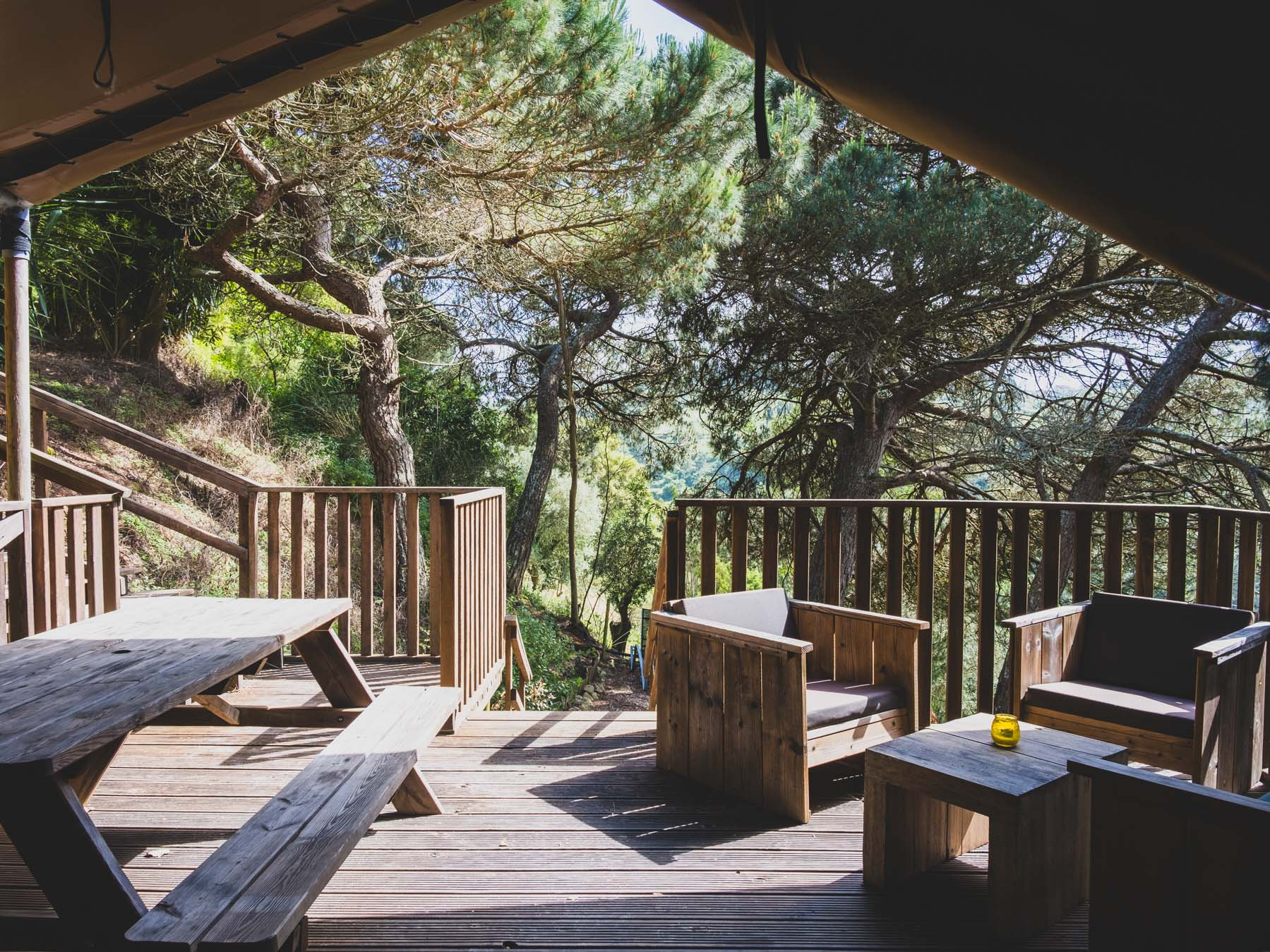 Wooden deck with picnic table and chairs surrounded by pine trees under partial shade.