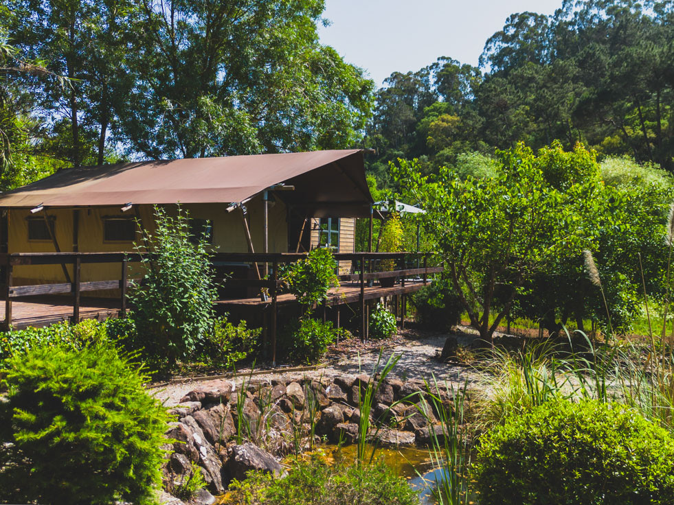 Wooden cabin with canvas roof surrounded by green trees and shrubs under clear sky.