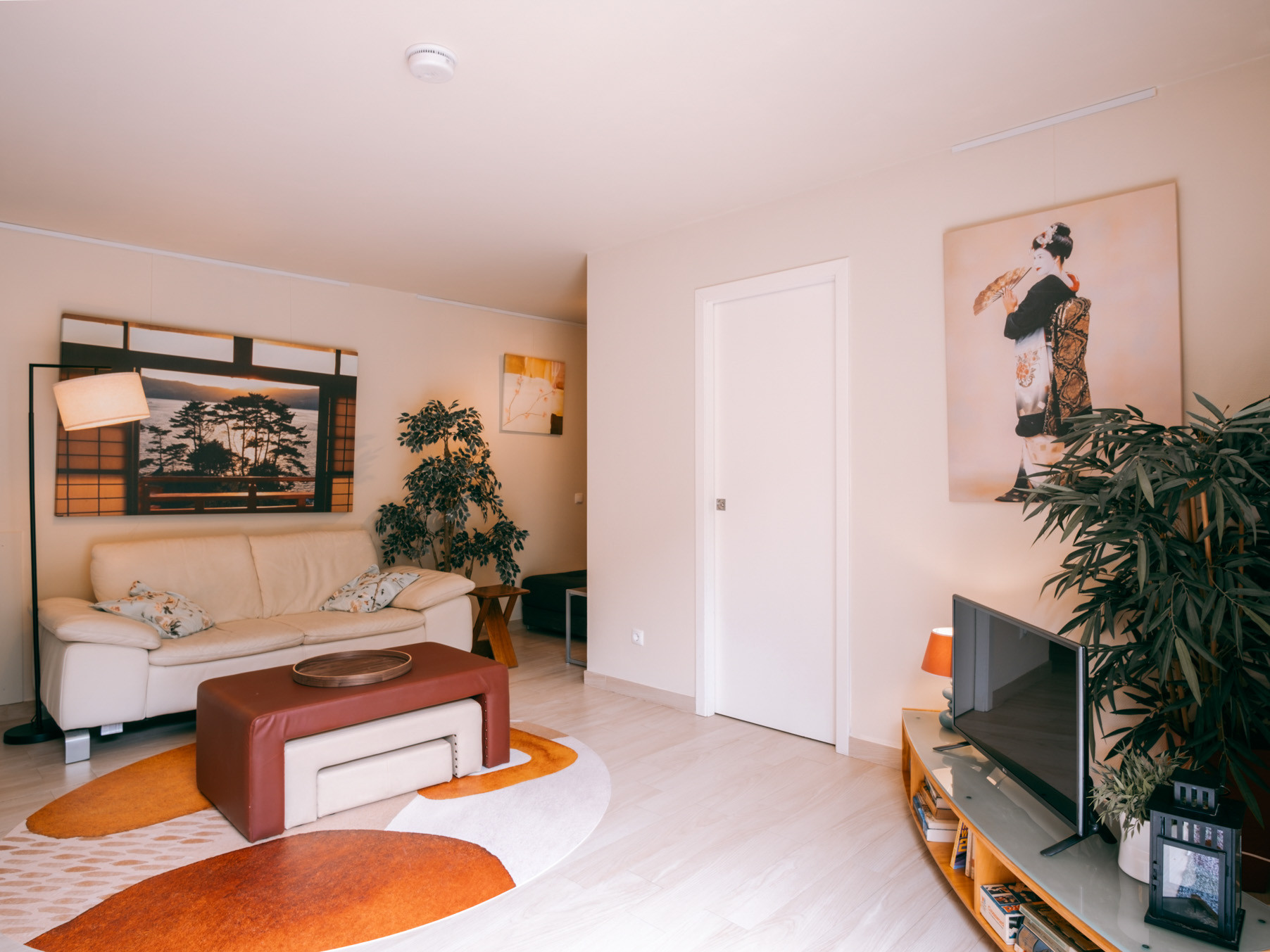 Living room with white sofa, low coffee table, TV on stand, potted plants and wall art.