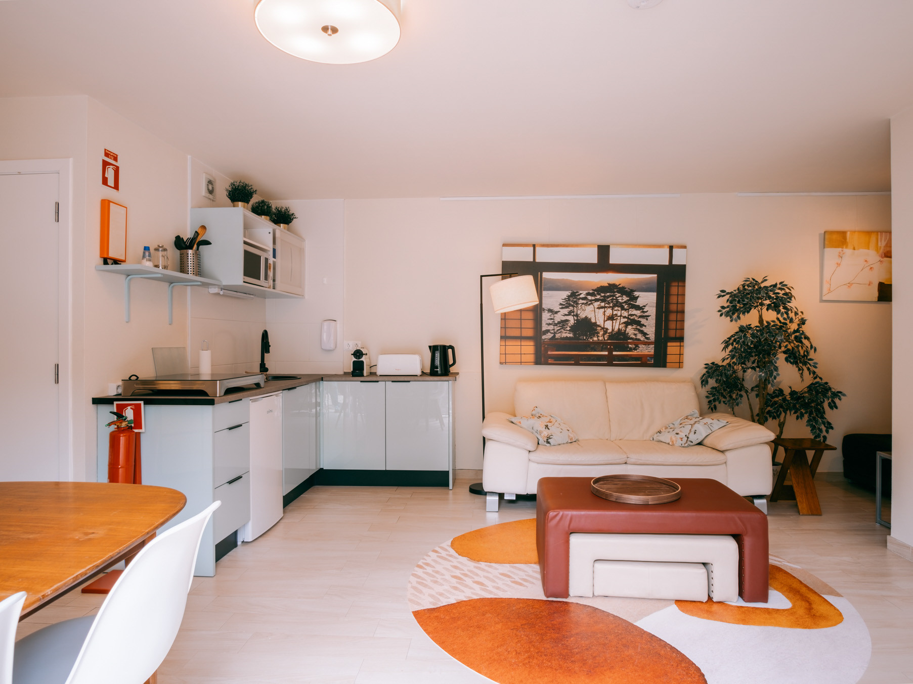 Open-plan living area with white sofa, low coffee table, patterned round rug, kitchenette and potted plant.
